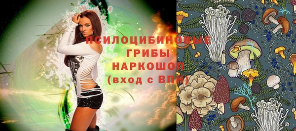 твердый Богородск