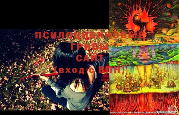 индика Белоозёрский
