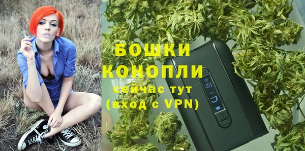 трава Богданович