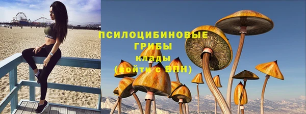 индика Белоозёрский