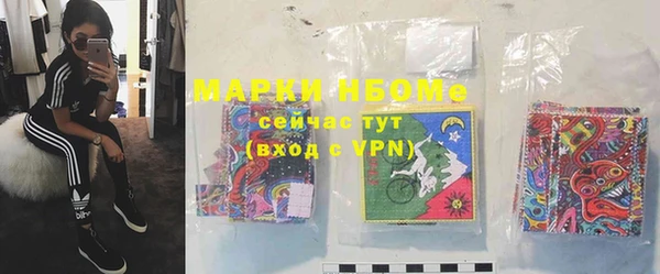 индика Белоозёрский